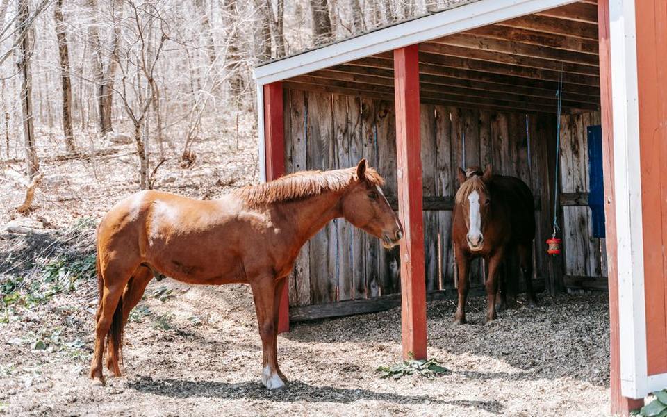 Selecting the Right Barn Architecture and Framing Styles