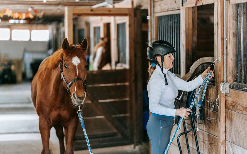 Comparing English and Western Riding Disciplines