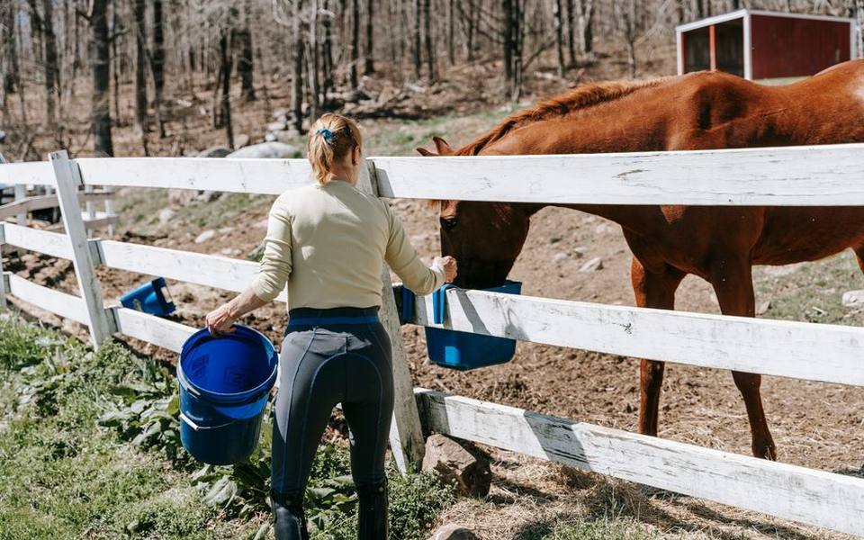 Managing Pastures to Break Parasite Transmission Cycles