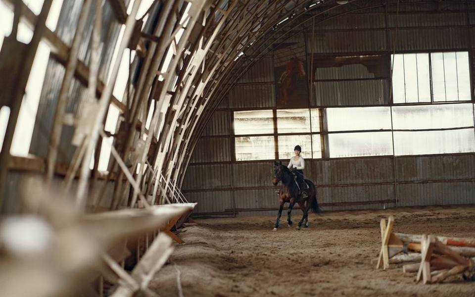 Evaluating Riding Arenas, Grounding, and Training Facilities
