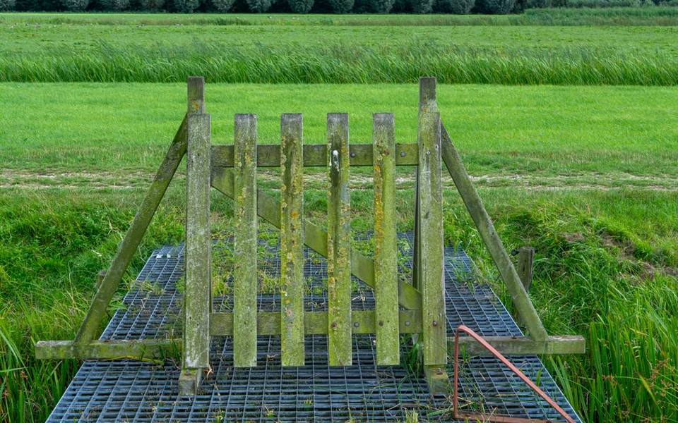 Designing Rotational Grazing and Multi-Species Fencing