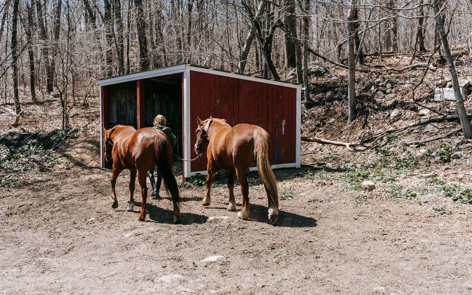 Evaluating Barn Structures, Sheds, and Modular Kits