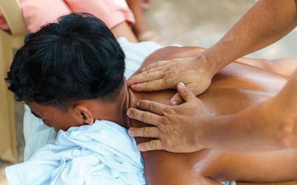 Equine Massage Therapy Fundamentals and Recovery