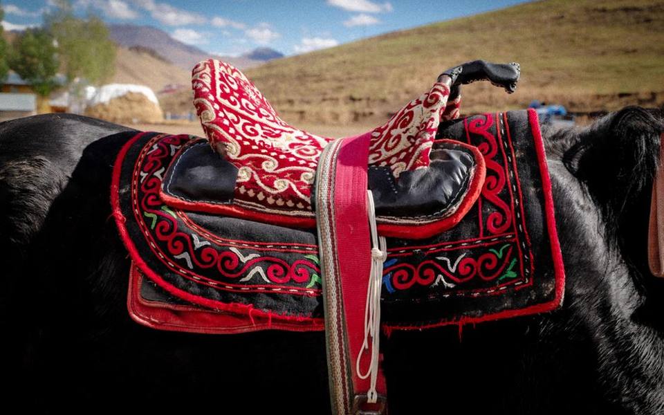 Evaluating Cowboy Boots for Stirrup Safety in the Saddle